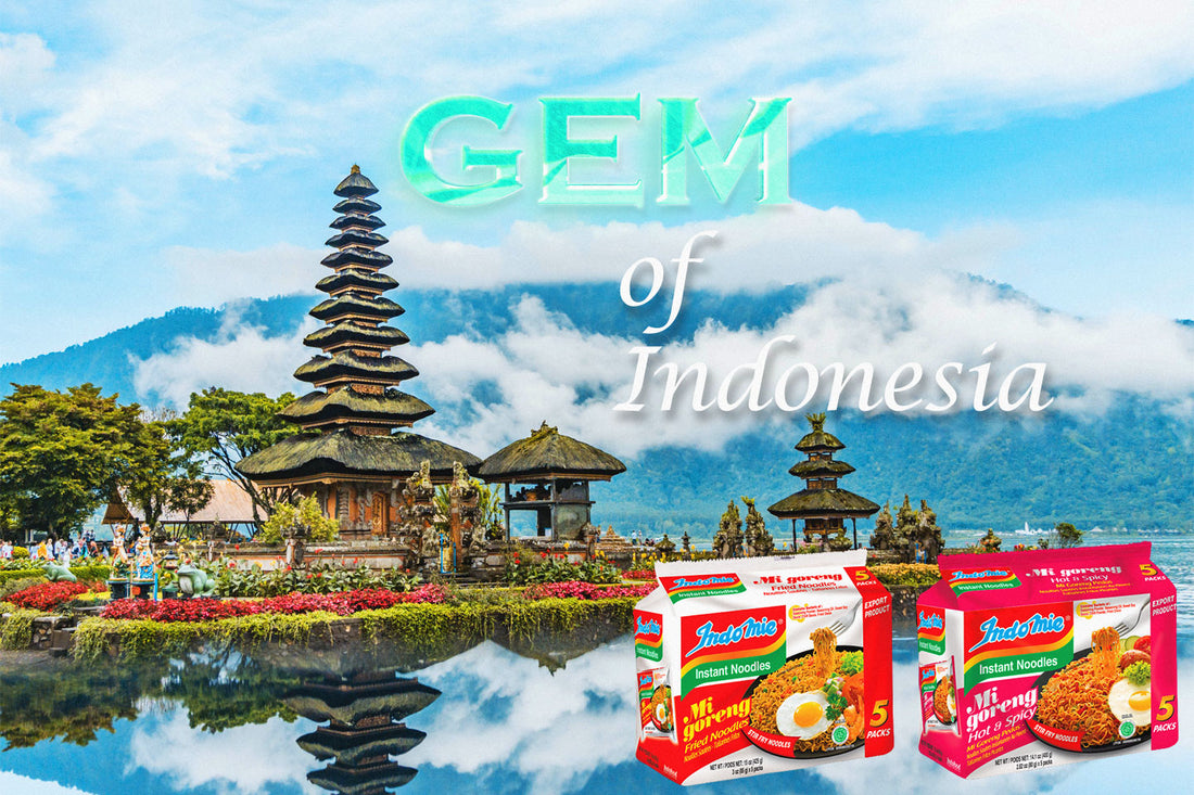 indomie gem of indonesia